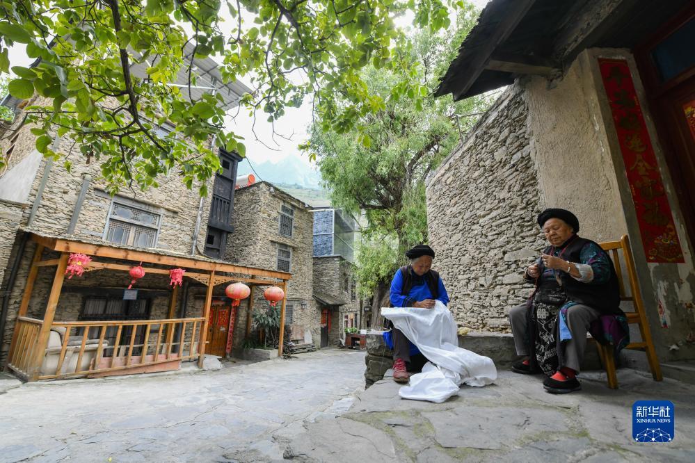 送白菜送彩金无需申请